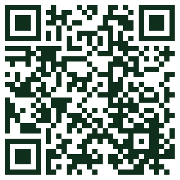 QR Code Guida Mutuo